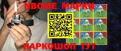 индика Можайск