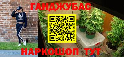 прущие грибы Моздок