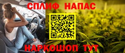 индика Можайск
