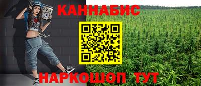индика Можайск