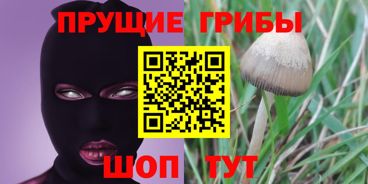 Галлюциногенные грибы мицелий  Вход с VPN  Сорочинск  Галлюциногенные грибы Magic Shrooms 