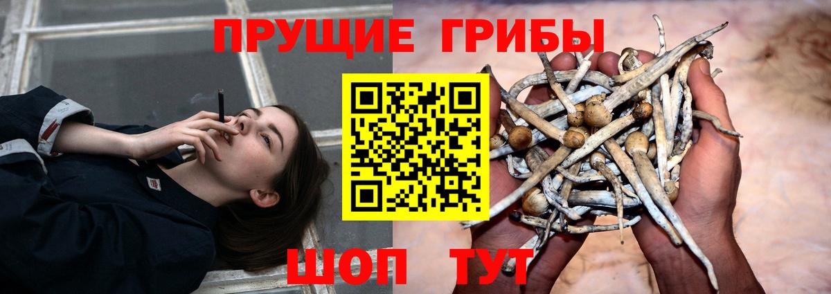 Псилоцибиновые грибы ЛСД Сорочинск